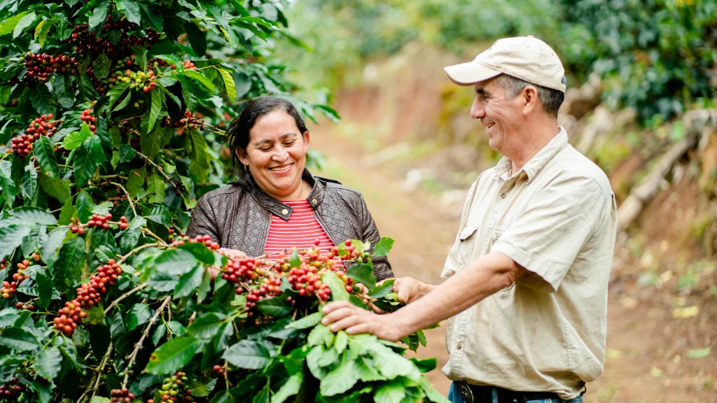 Sustainability_Supply Chain.jpg